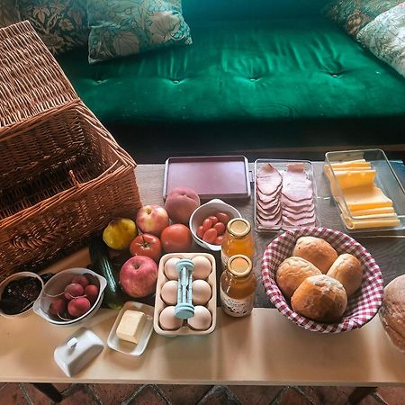 Jurty Z Widokiem, Prywatna Balia- Dzikolas Glamping Краснобруд Экстерьер фото
